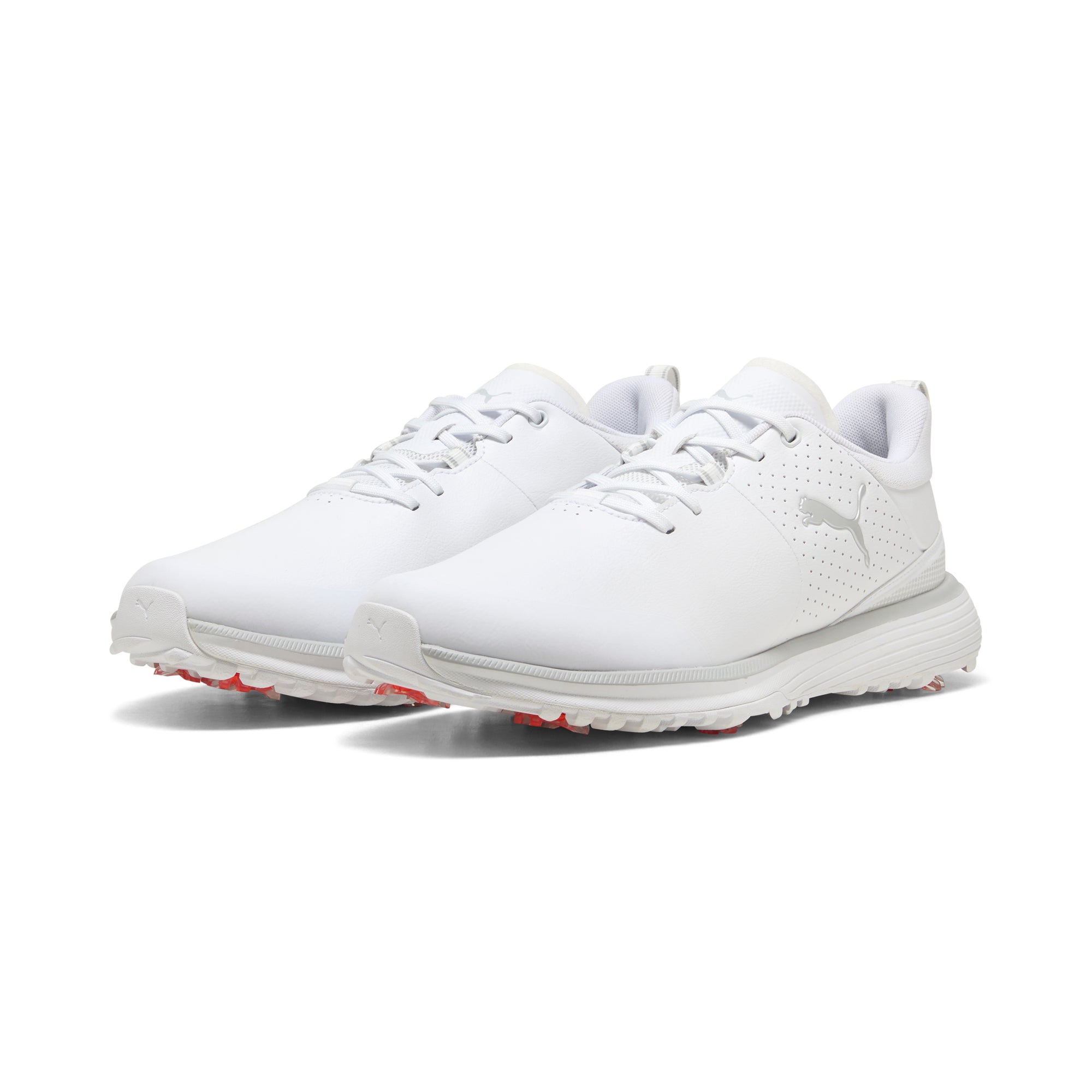 Puma White / Puma Silver / Ash Gray