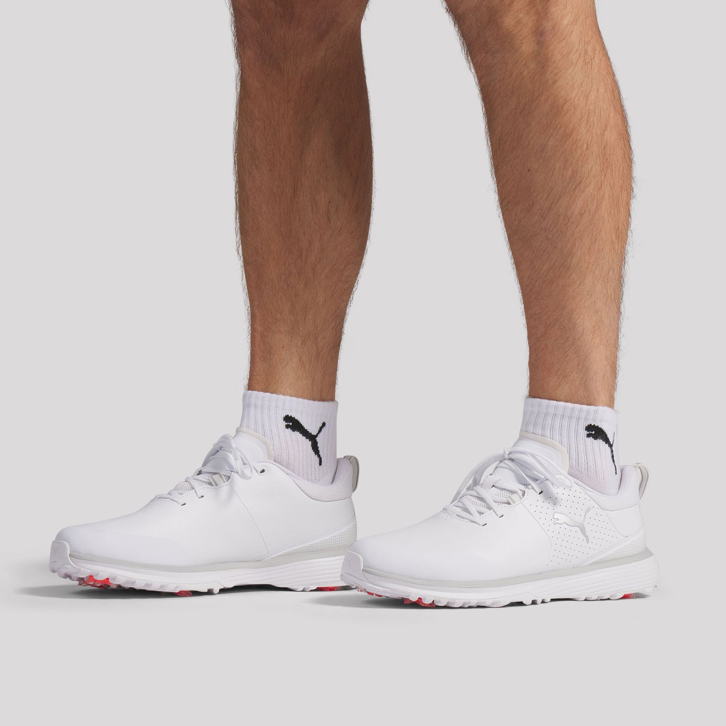 Puma White / Puma Silver / Ash Gray