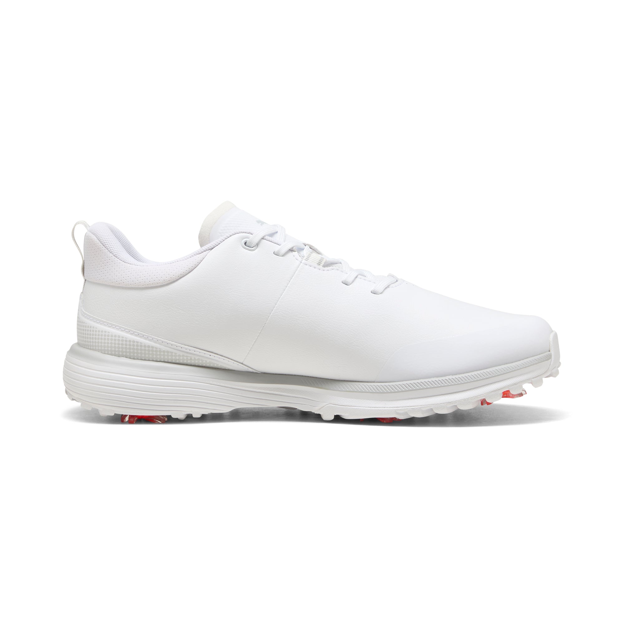 Puma White / Puma Silver / Ash Gray