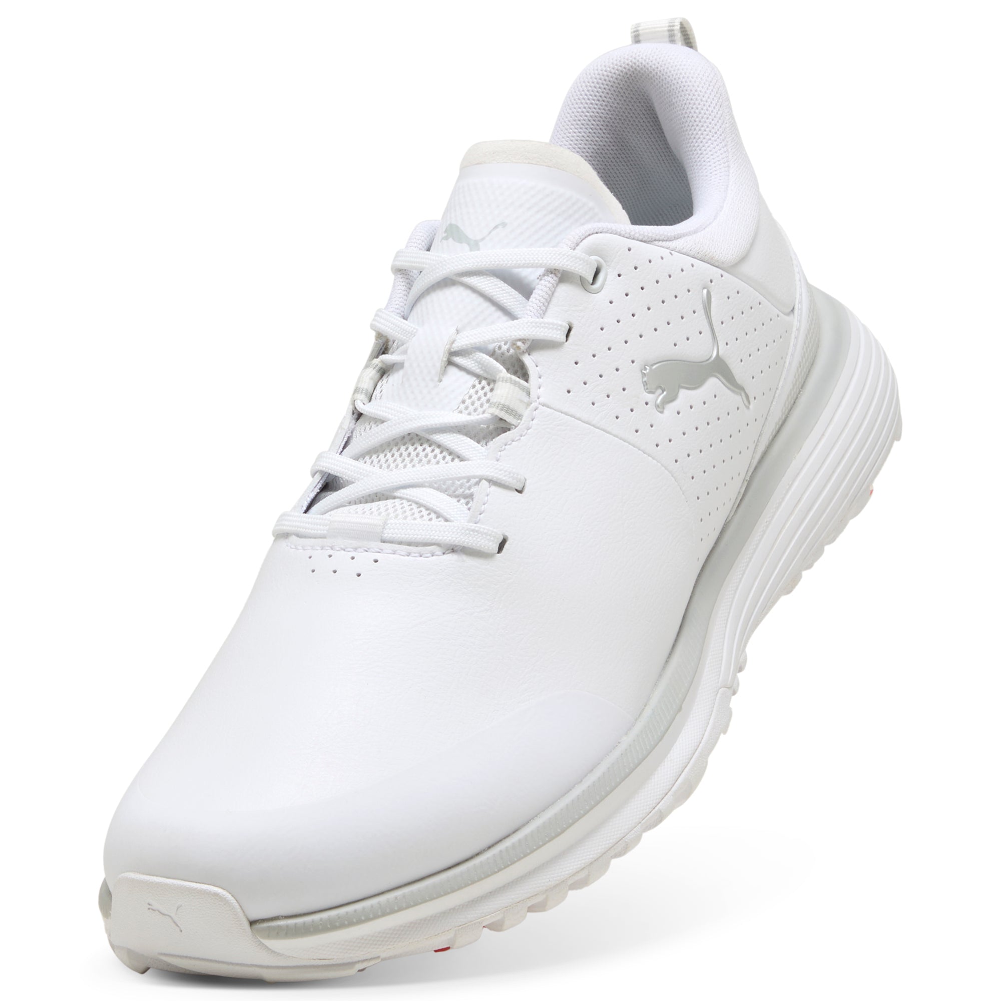Puma White / Puma Silver / Ash Gray