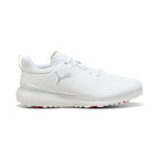 Puma White / Puma Silver / Ash Gray