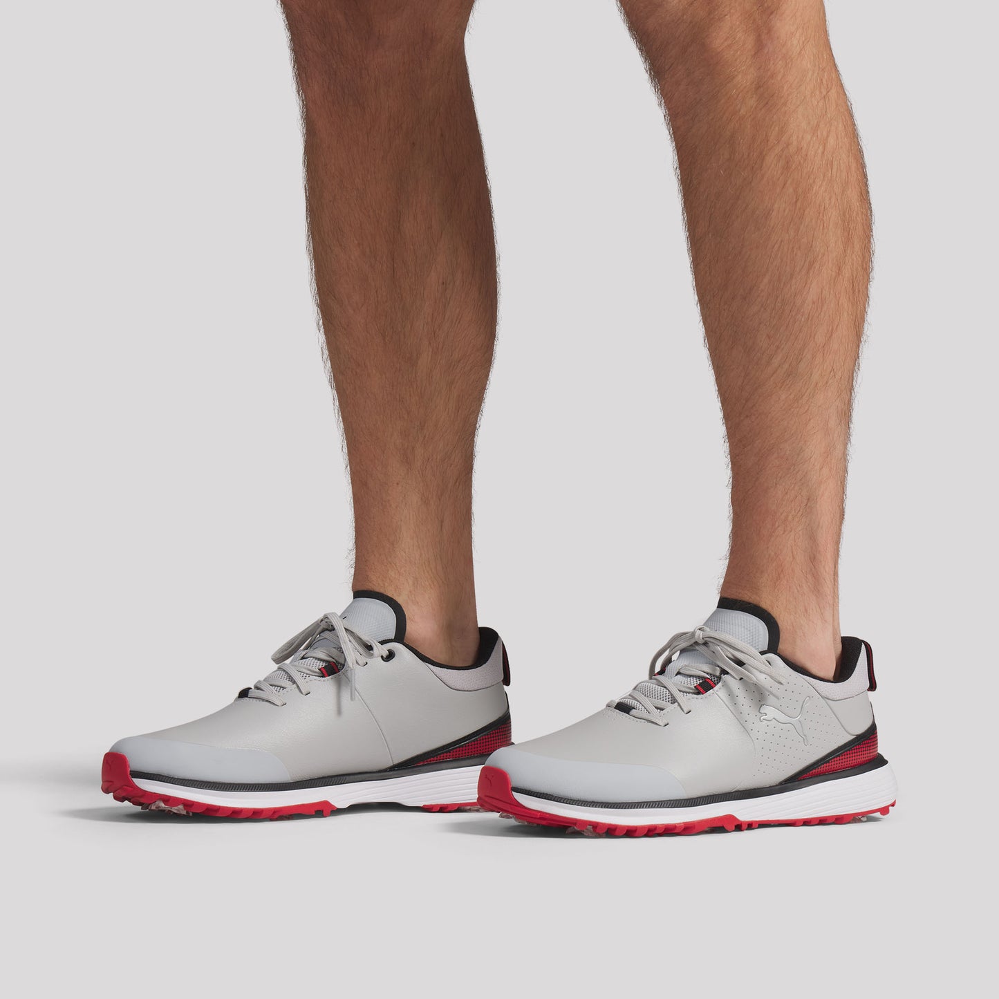 Ash Gray / Puma Black / Candy Apple