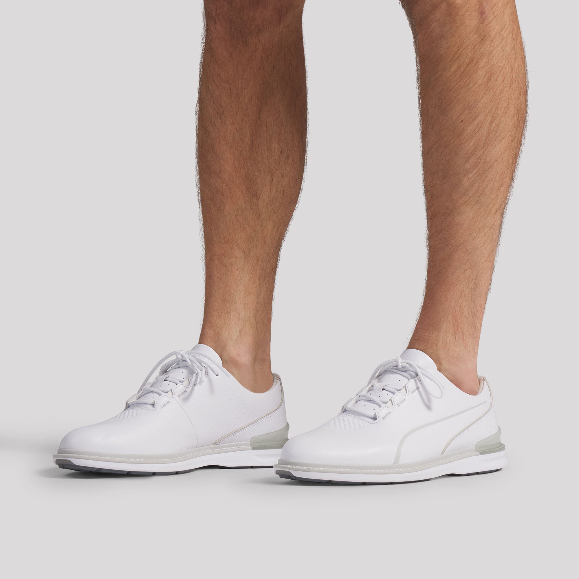 Puma White / Ash Gray / Slate Sky