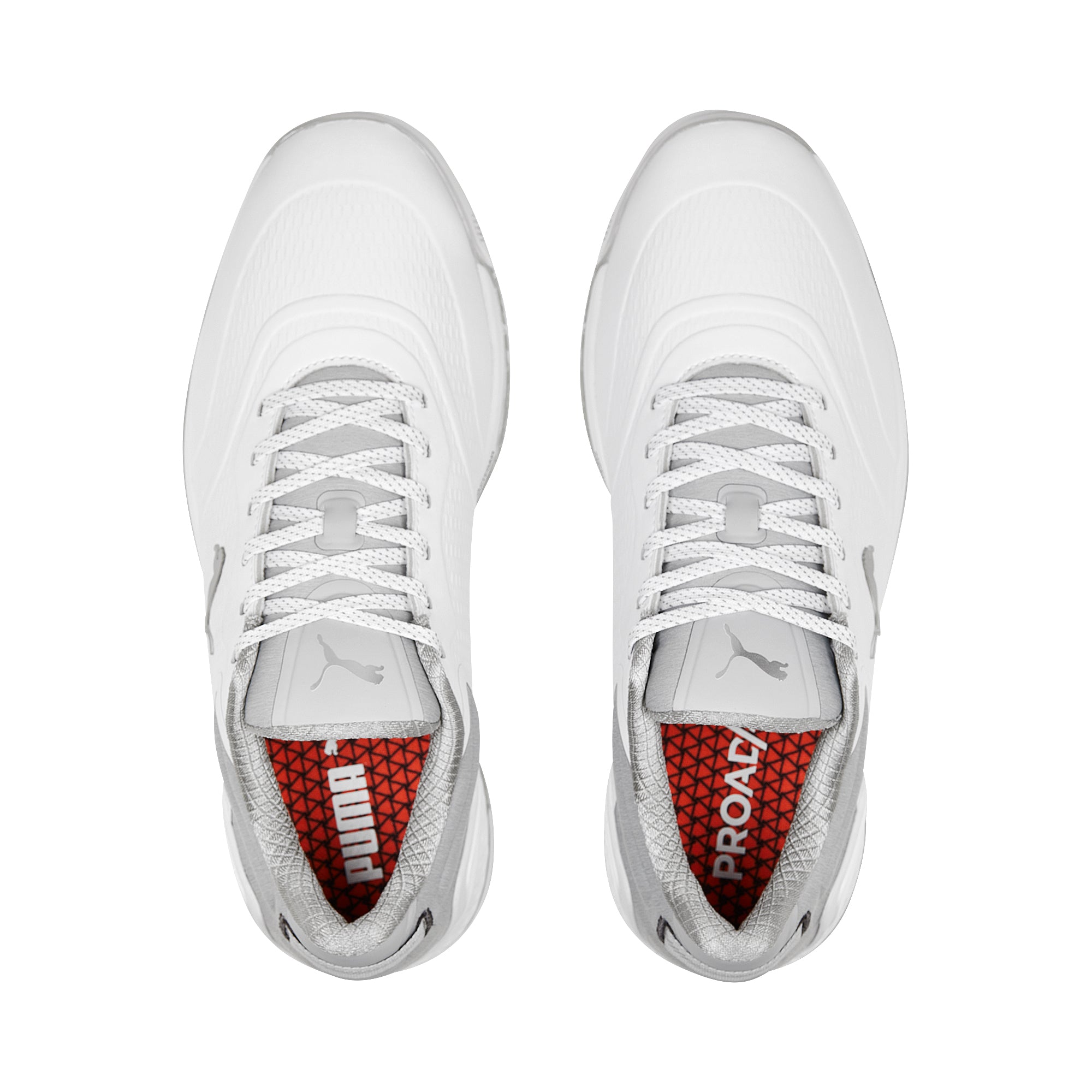Puma White / Flat Light Gray