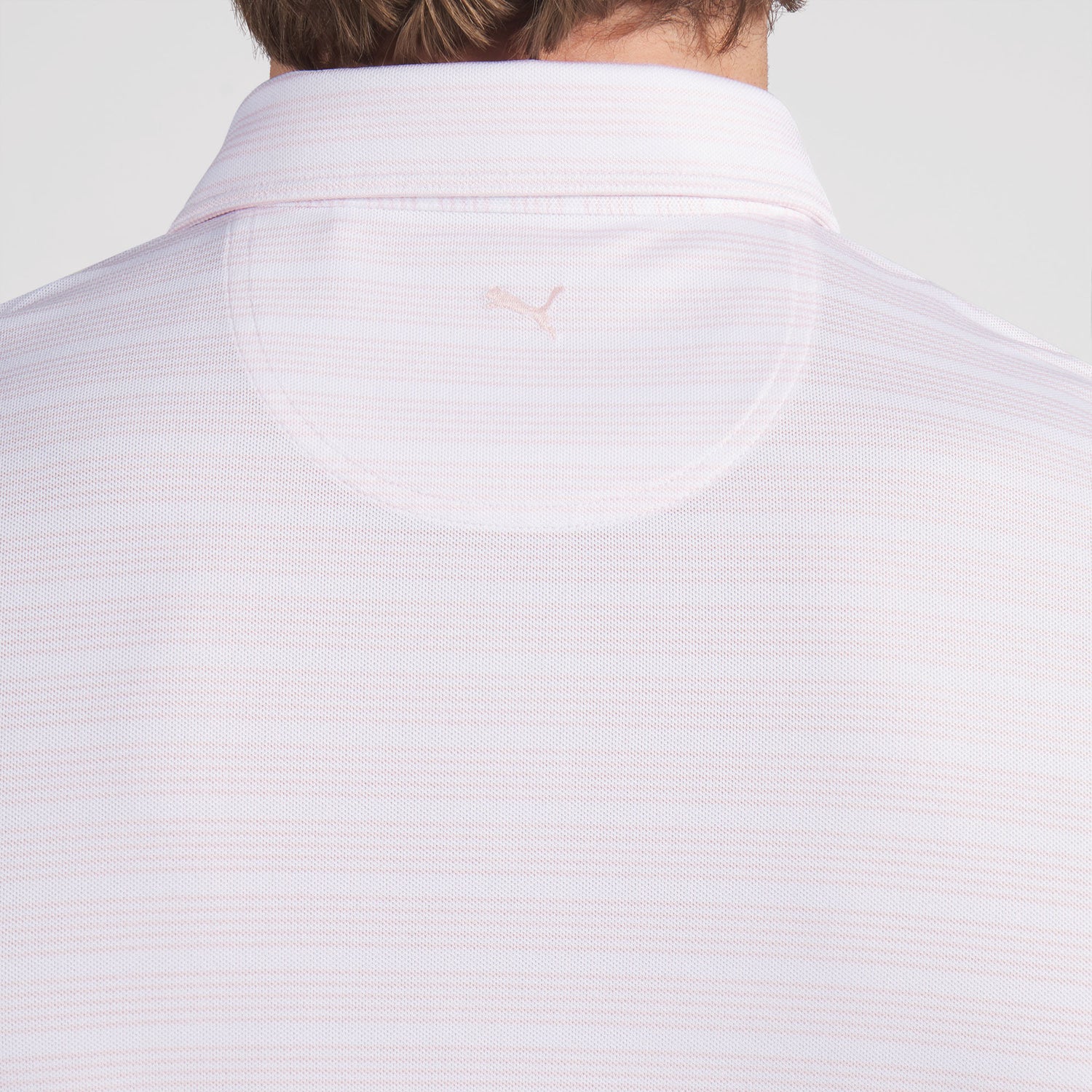 White Glow / Rose Blossom